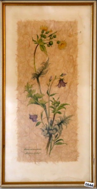 꽃그림