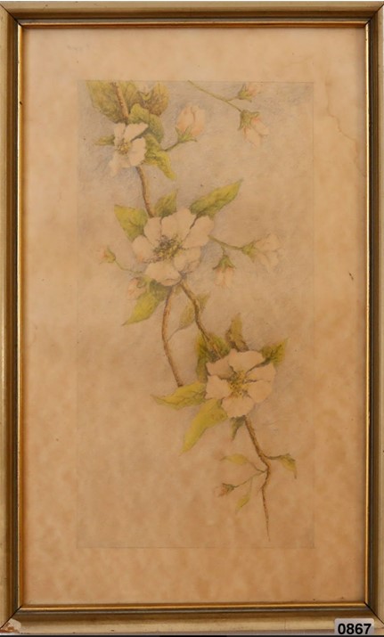 꽃그림